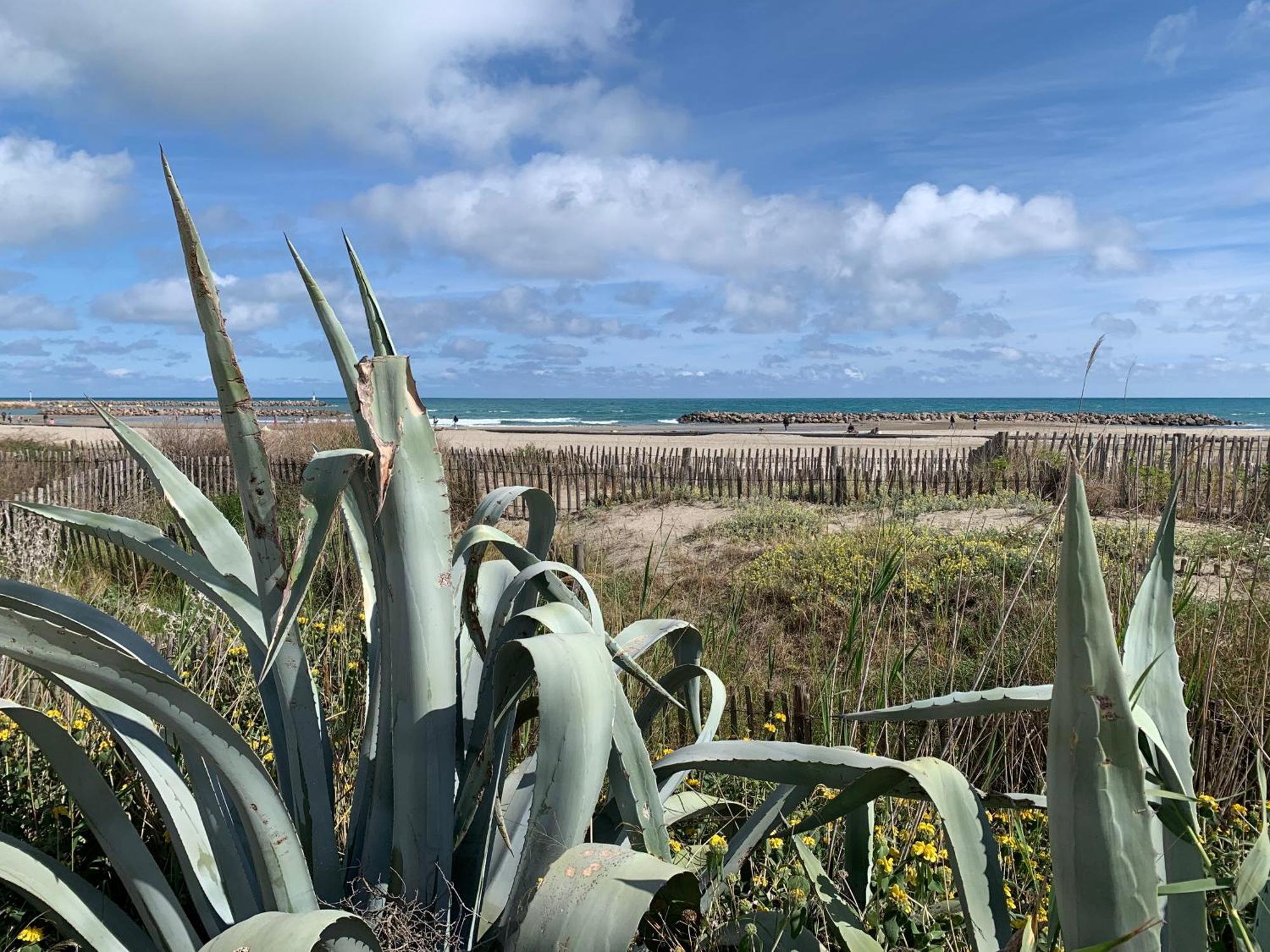 Sete - Vue Mer Imprenable, Piscine, Calme Kültér fotó